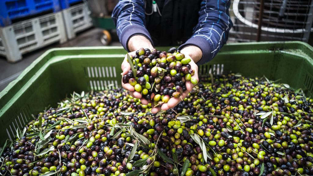 My Personal Oil Price Shock — Olive Oil, That Is: Javier Blas