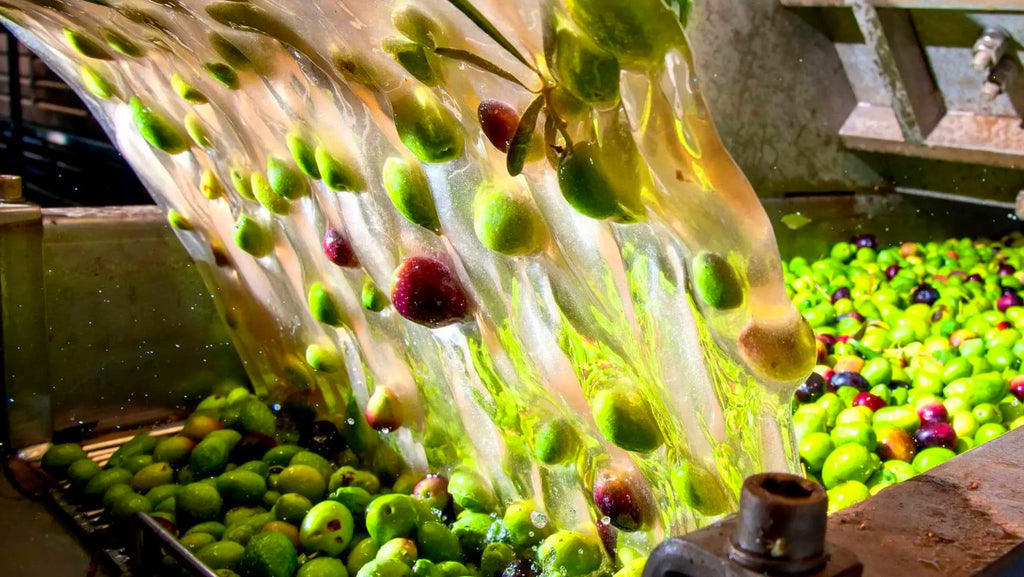 Is Olive Oil Wastewater the New Superfood?